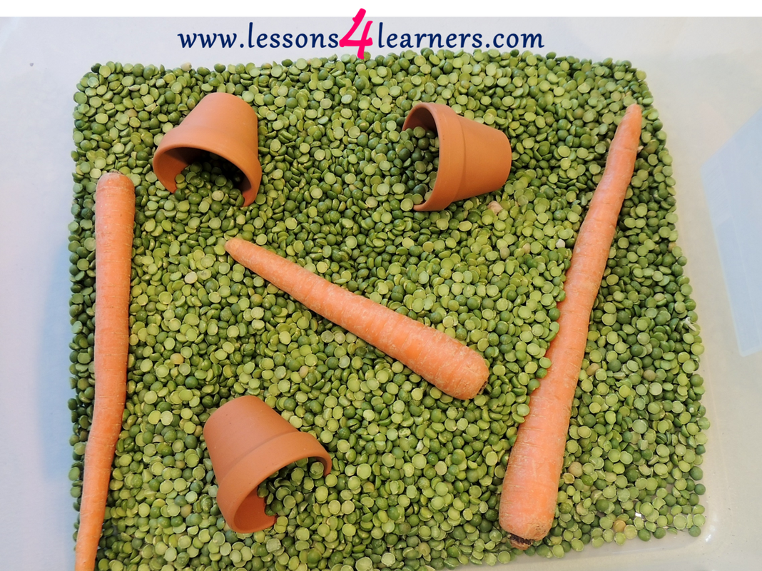  Peas and Carrots Sensory Bin