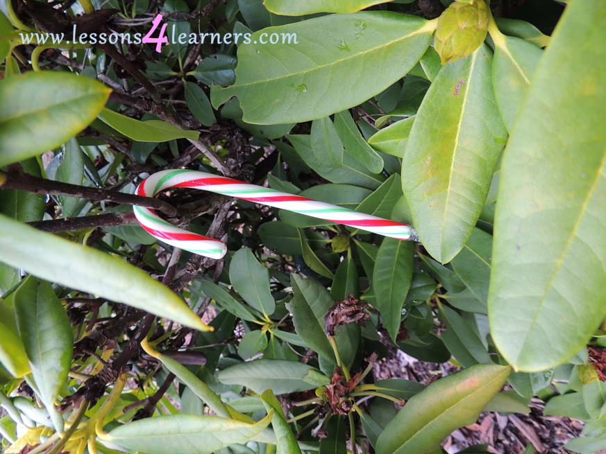 Candy Cane Hunt