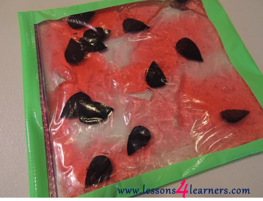 Watermelon Sensory Bag